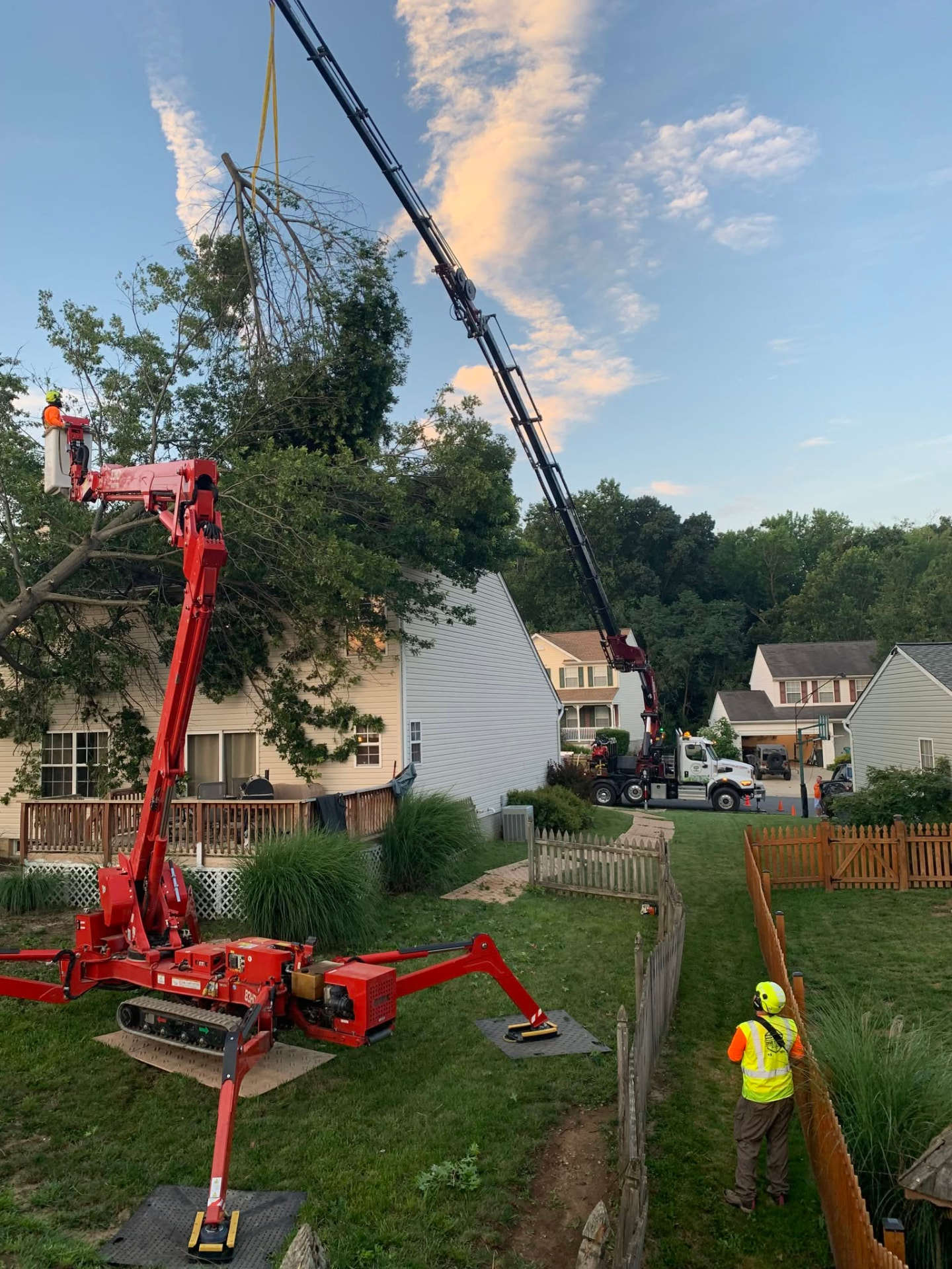 Crew using a crane to lift a cut tree section over a Maryland backyard
