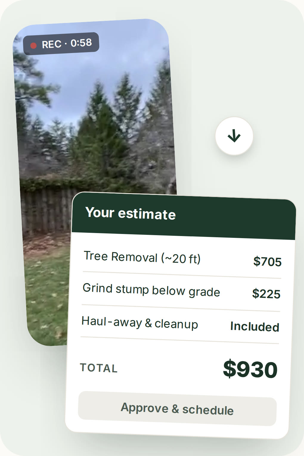 Example: a homeowner's tree video becomes a written estimate